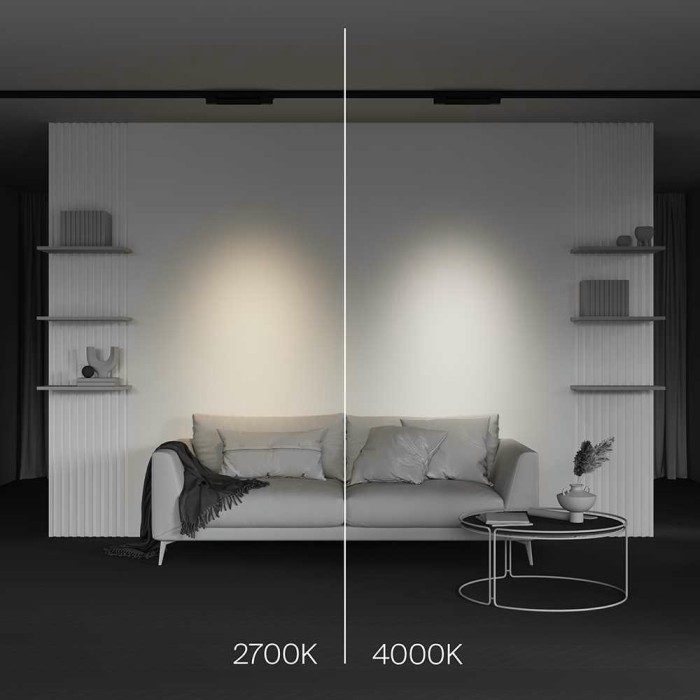 Трековый светодиодный светильник Maytoni Technical Points TR195-3-10W2.7K-M-B