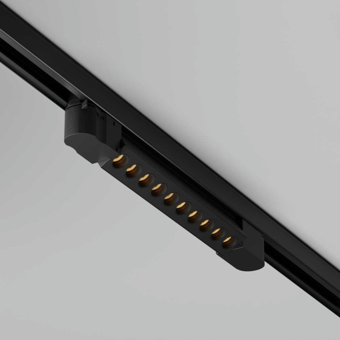 Трековый светодиодный светильник Maytoni Technical Points TR195-3-10W2.7K-M-B