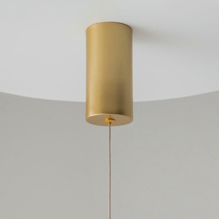 Подвесной светильник Maytoni Ray P022PL-L10MG3K