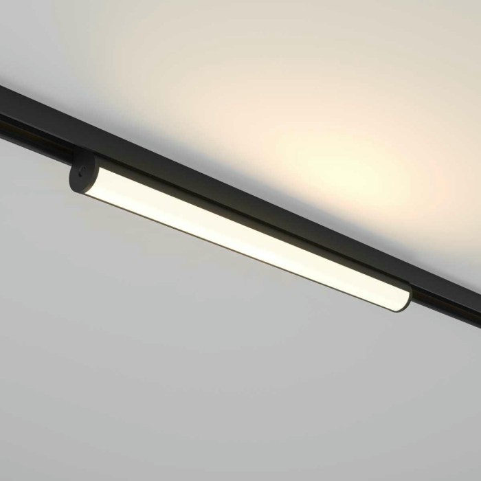 Трековый светильник Maytoni Technical TR183-1-12WTW-B