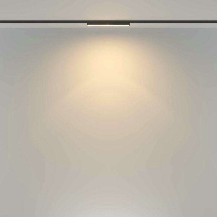 Трековый светильник Maytoni Technical TR183-1-12WTW-B