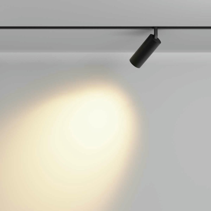 Трековый светильник Maytoni Technical Focus LED TR032-2-12W2.7K-M-B