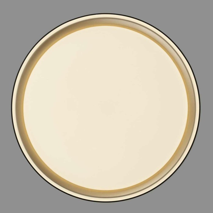 Потолочный светодиодный светильник Citilux Boss CL751251G