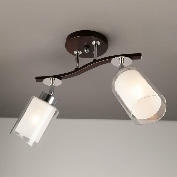 Спот Citilux Фортуна CL156122