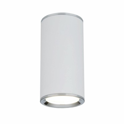 Потолочный светильник Elektrostandard DLN101 GU10 WH белый a043967