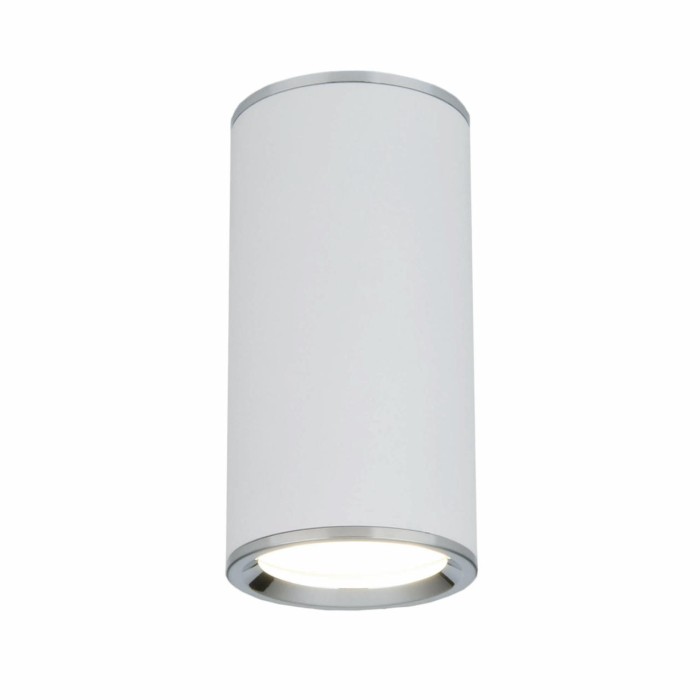 Потолочный светильник Elektrostandard DLN101 GU10 WH белый a043967