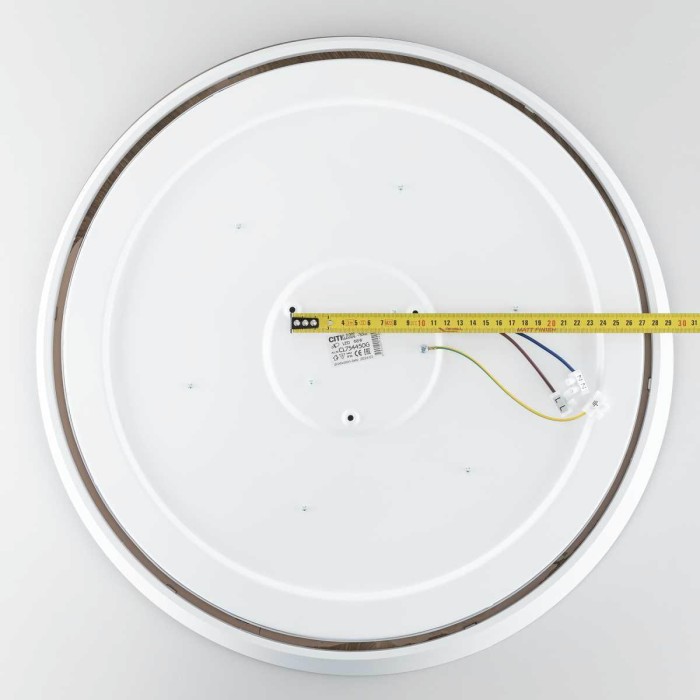 Потолочный светодиодный светильник Citilux Bonny CL754450G