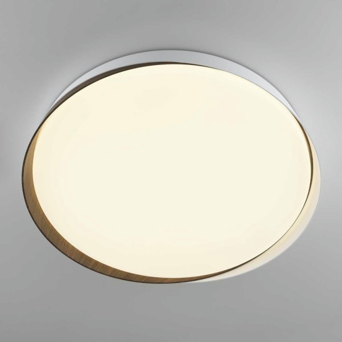 Потолочный светодиодный светильник Citilux Bonny CL754450G