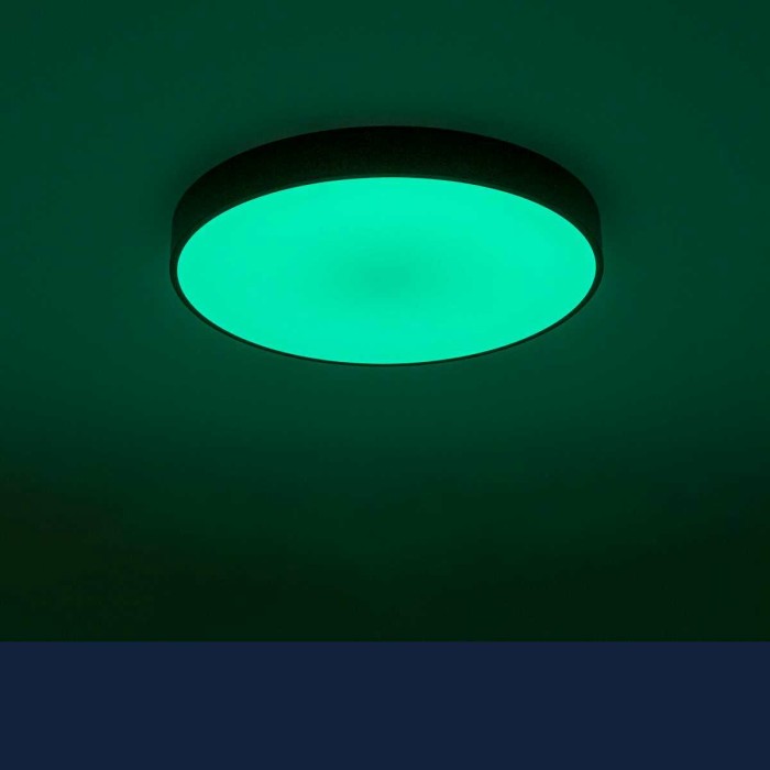 Потолочный светодиодный светильник с пультом ДУ Citilux Купер RGB Черный CL72470G1