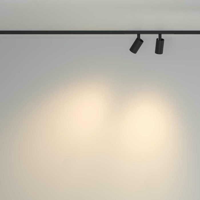 Трековый светильник Maytoni Technical TR176-1-2X5WTW-M-B