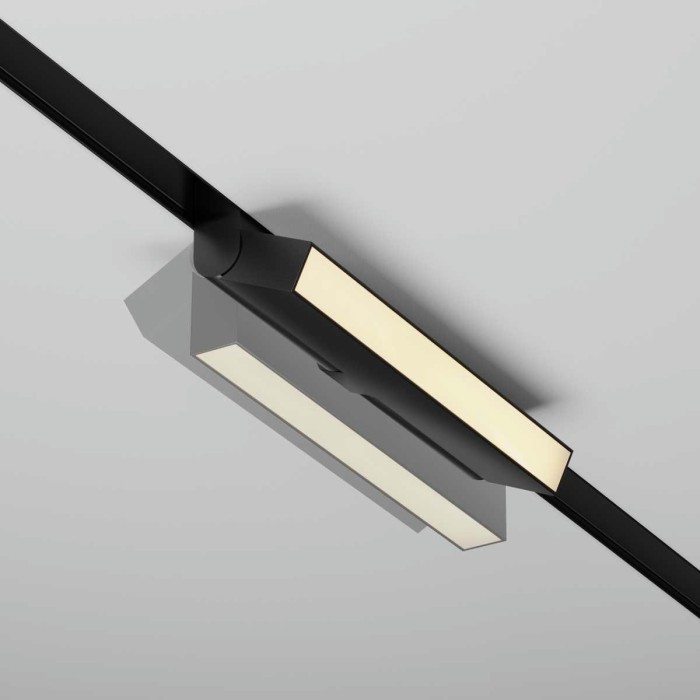 Трековый светильник Maytoni Technical Basis Rot TR036-2-12W2.7K-B