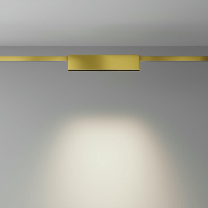 Трековый светодиодный светильник Maytoni Flarity Points TR150-1-12W4K-M-BS