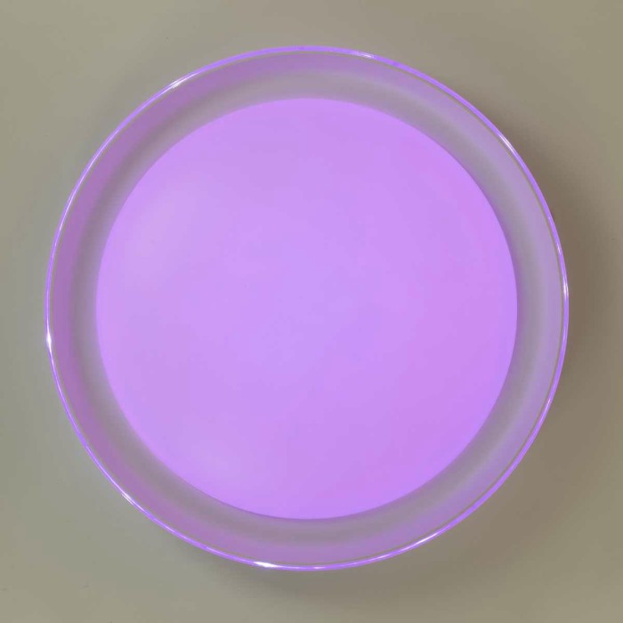 Потолочный светодиодный светильник Citilux Mega CL752350G