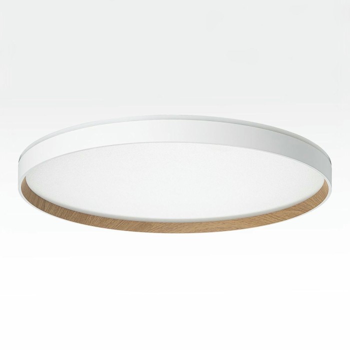 Потолочный светодиодный светильник Citilux Etalon CL750500R