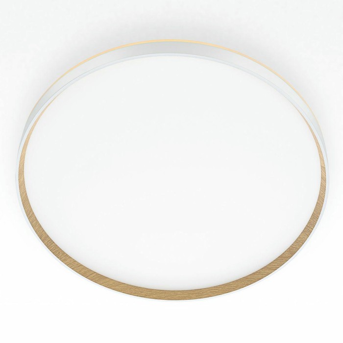 Потолочный светодиодный светильник Citilux Etalon CL750500R