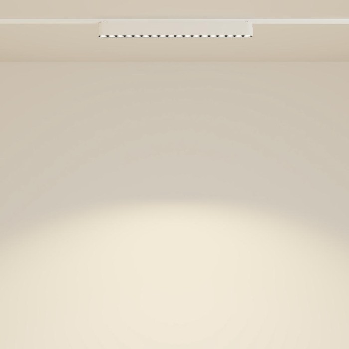 Трековый светодиодный светильник Maytoni Technical Radity Points TR082-1-18W3K-M-W