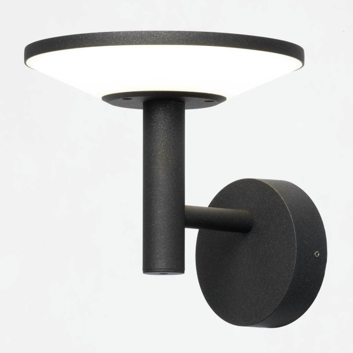 Уличный настенный светильник Citilux Dorn CLU05W