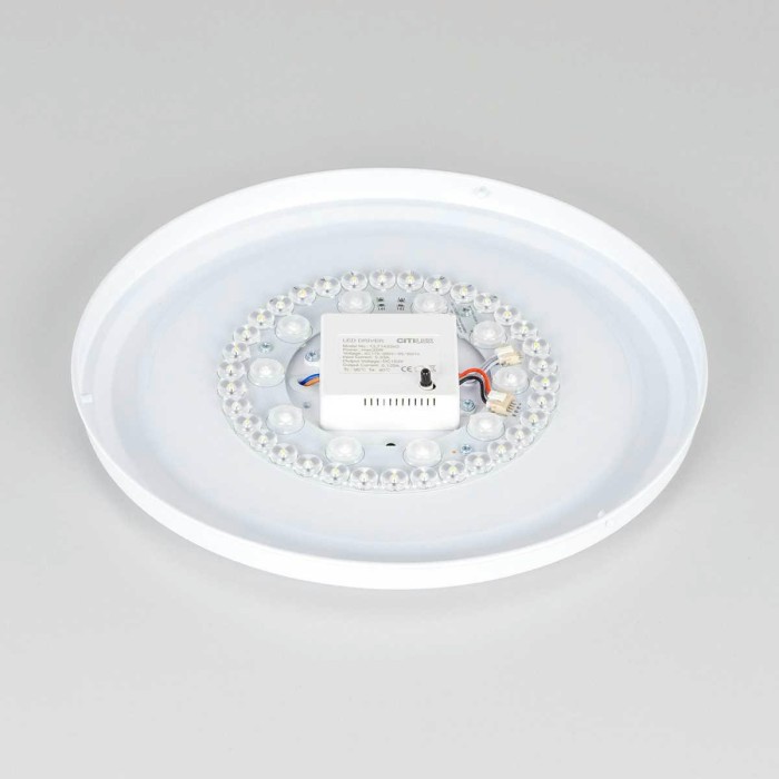 Потолочный светодиодный светильник Citilux Санта CL723330G