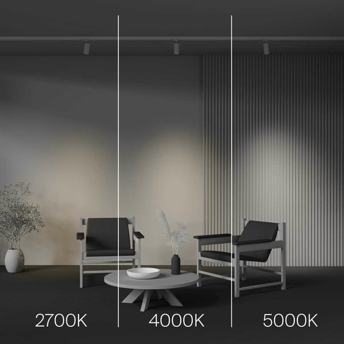 Трековый светодиодный светильник Maytoni Technical Focus Led TR197-3-12WCCT-M-W