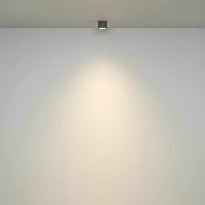 Потолочный светильник Maytoni Technical Rendo C095CL-GX53-GR