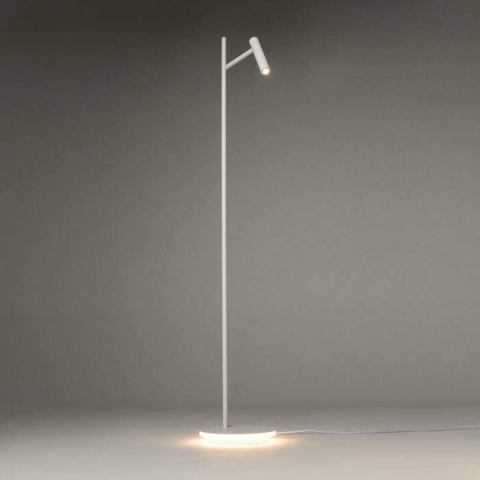 Торшер Maytoni Estudo Z010FL-L8W3K