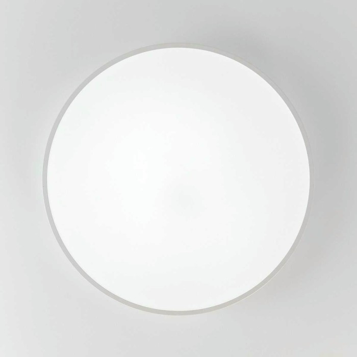 Потолочный светодиодный светильник с пультом ДУ Citilux Купер RGB Белый CL724105G0