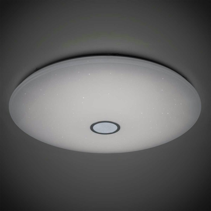 Потолочный светодиодный светильник Citilux Старлайт Смарт CL703A200G