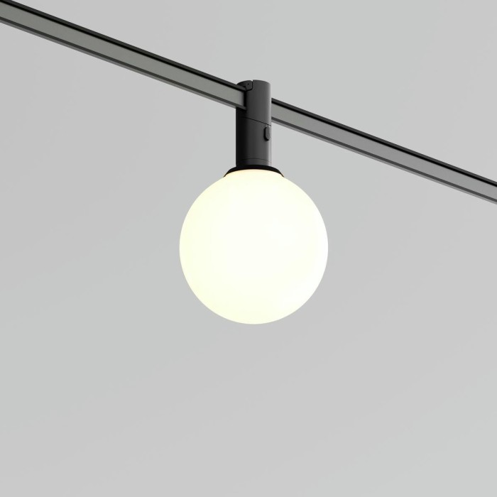 Трековый светодиодный светильник Maytoni Technical Luna TR208-1-5W3K-B