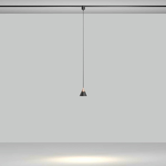 Трековый подвесной светильник Maytoni Technical TR166-1-7W3K-M-B