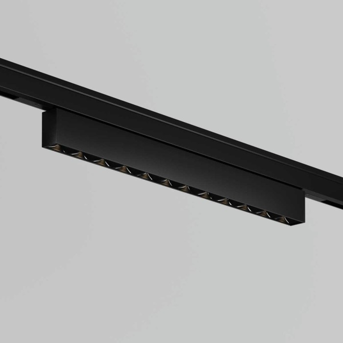 Трековый светильник Maytoni Technical Points TR193-1-10W3K-M-B