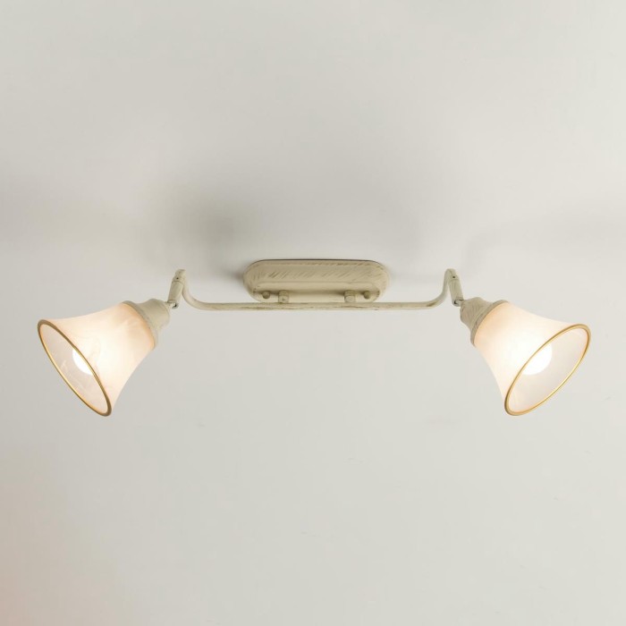 Спот Citilux Прованс CL511524