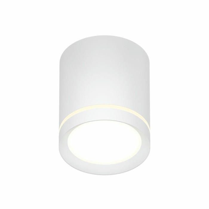 Накладной светодиодный светильник Denkirs Ribe DK4016-WH