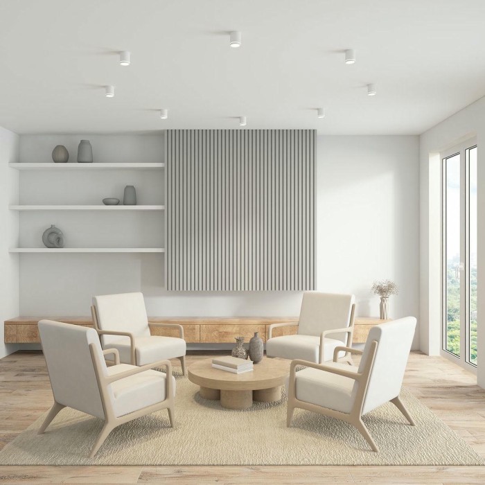 Накладной светодиодный светильник Denkirs Ribe DK4016-WH