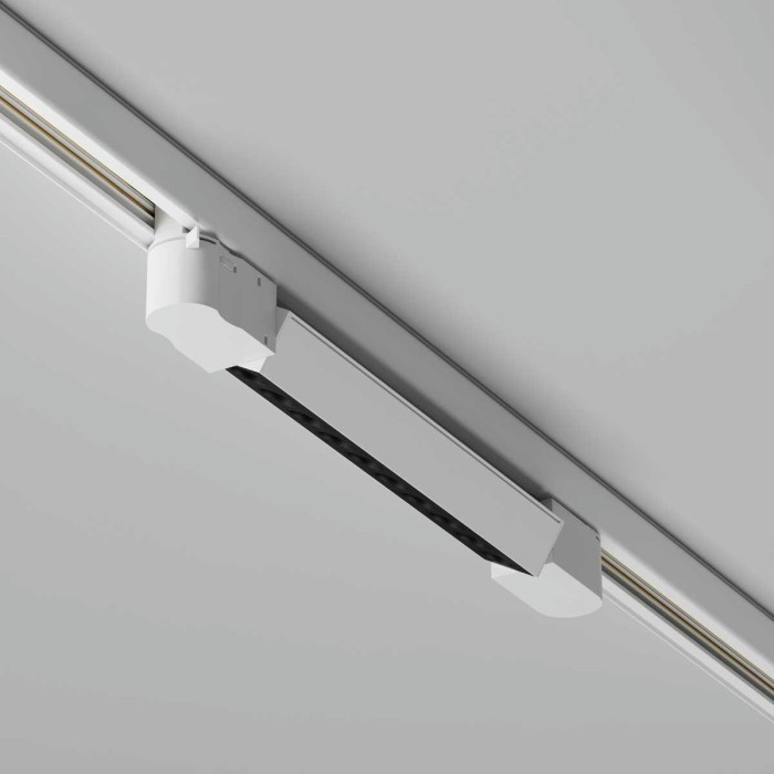 Трековый светодиодный светильник Maytoni Technical Points TR195-3-10W2.7K-M-W