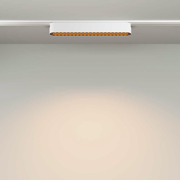 Трековый светодиодный светильник Maytoni Technical Radity Basis Grid TR084-1-12W3K-W