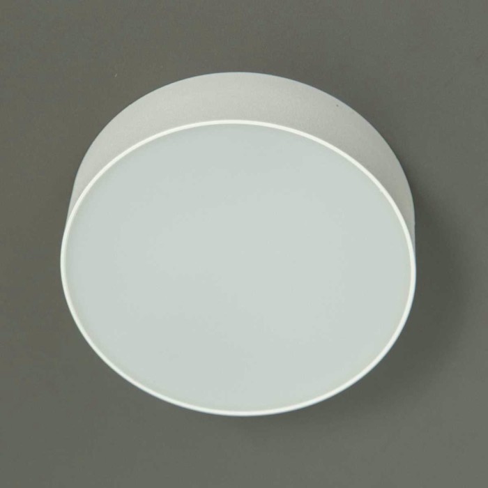 Накладной светодиодный светильник Citilux Тао CL712120N