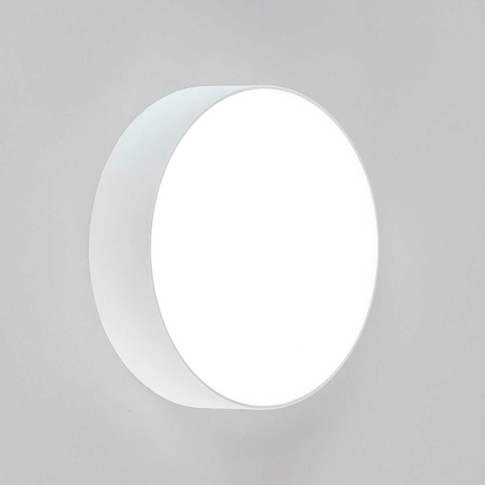 Накладной светодиодный светильник Citilux Тао CL712120N