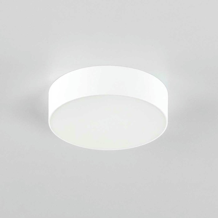 Накладной светодиодный светильник Citilux Тао CL712120N