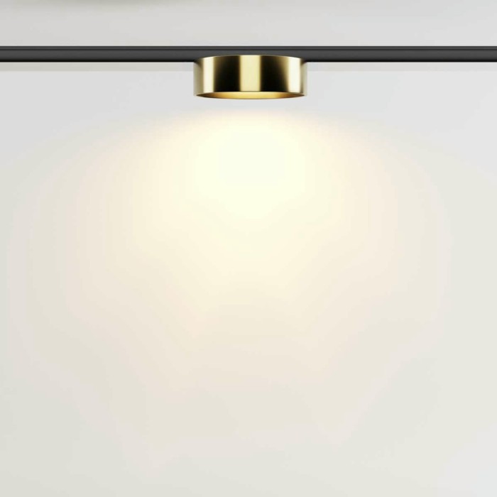 Трековый светильник Maytoni Technical Zon TR189-1-12W2.7K-BBS