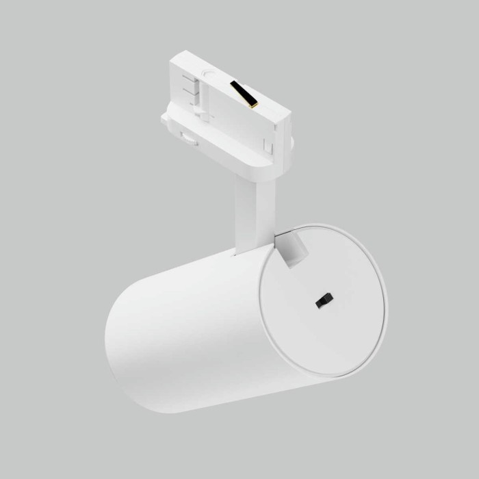 Трековый светильник Maytoni Technical TR197-3-40WCCT-M-W