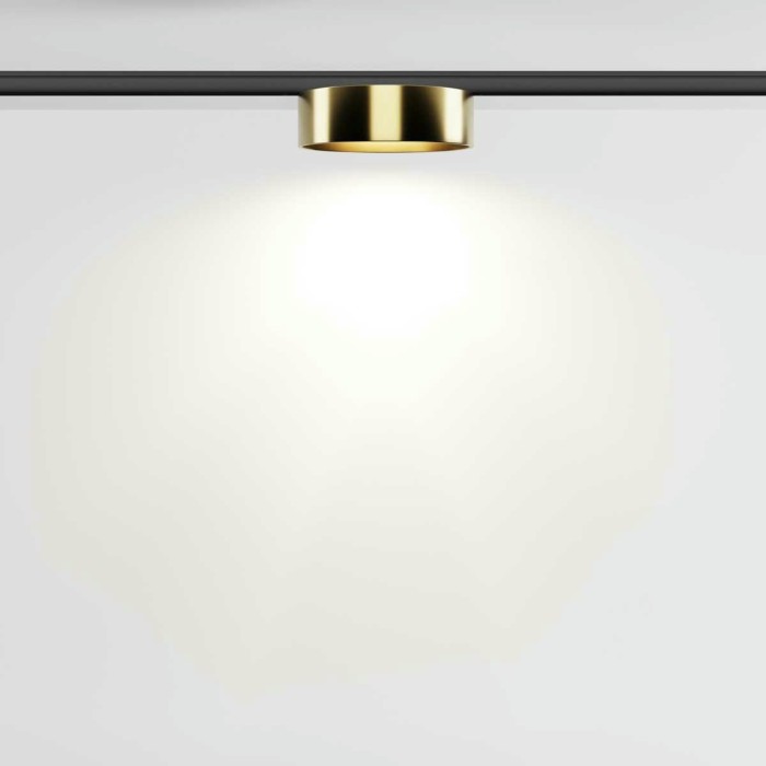 Трековый светильник Maytoni Technical Zon TR189-1-12W4K-BBS