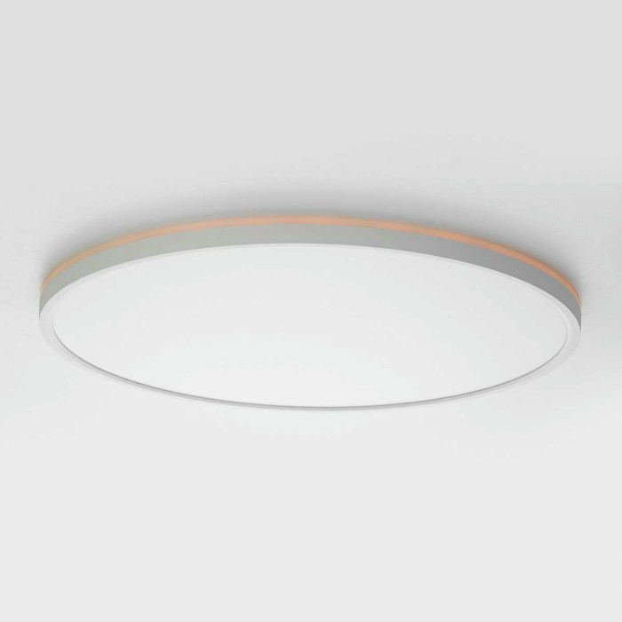 Потолочный светильник Citilux NORMA CL749500