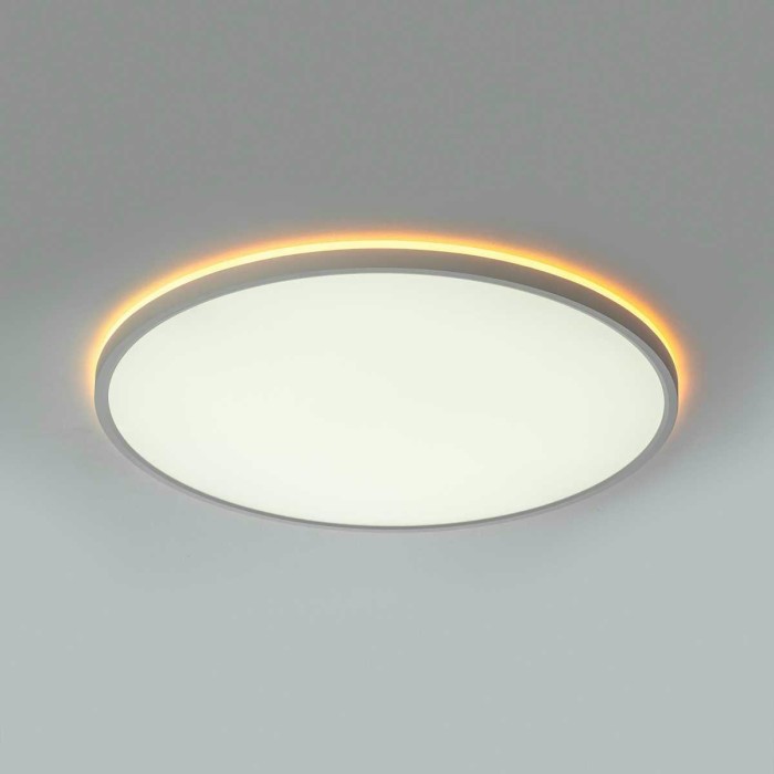 Потолочный светильник Citilux NORMA CL749500