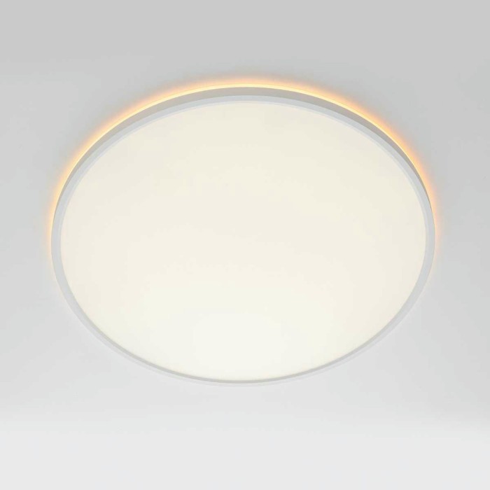 Потолочный светильник Citilux NORMA CL749500