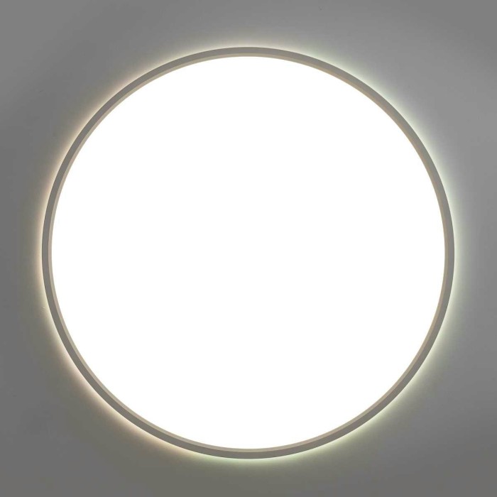 Потолочный светильник Citilux NORMA CL749500