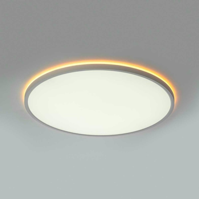 Потолочный светильник Citilux NORMA CL749500