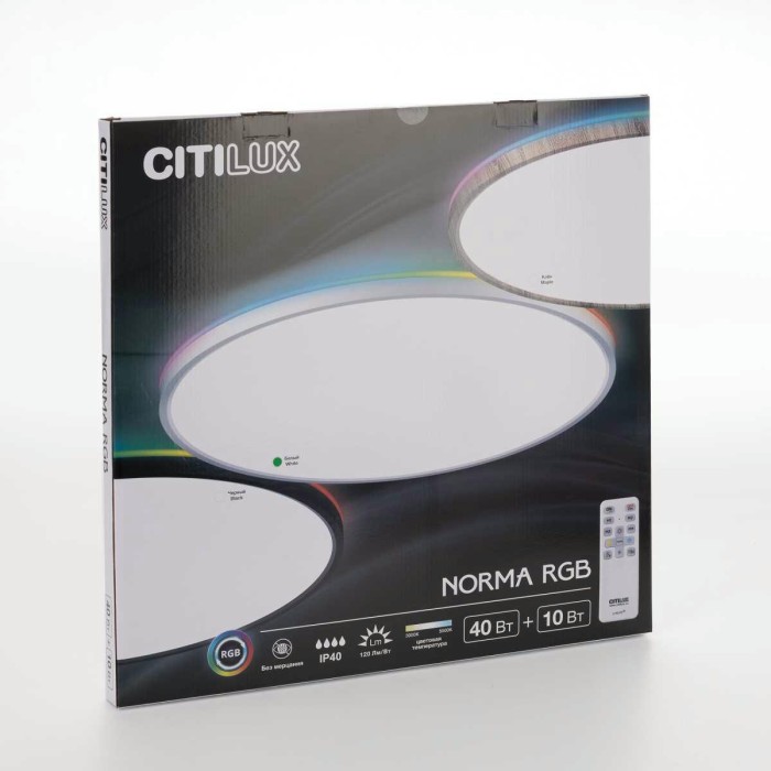 Потолочный светильник Citilux NORMA CL749500