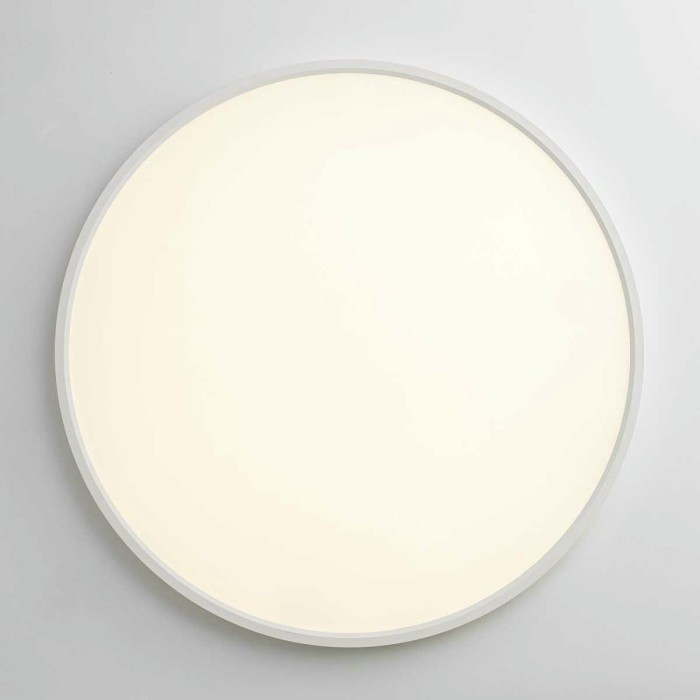 Потолочный светильник Citilux NORMA CL749500