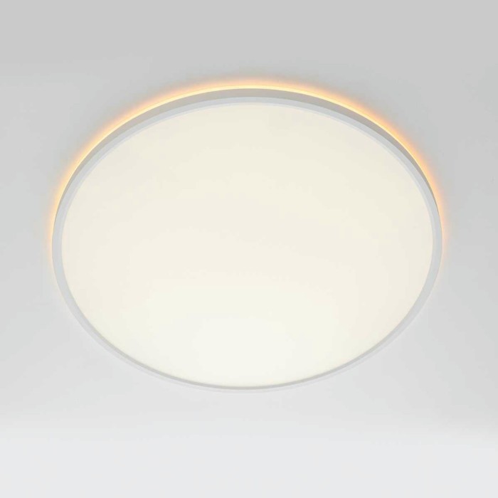 Потолочный светильник Citilux NORMA CL749500