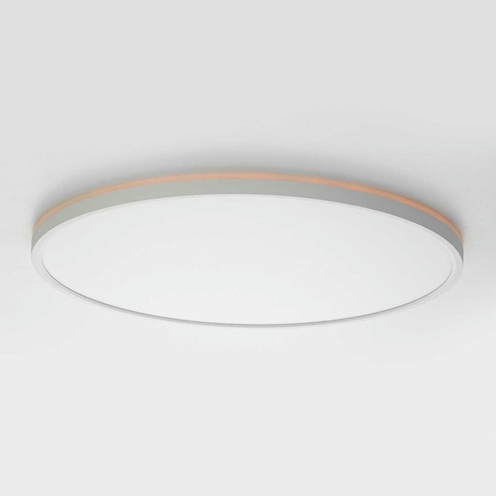 Потолочный светильник Citilux NORMA CL749500